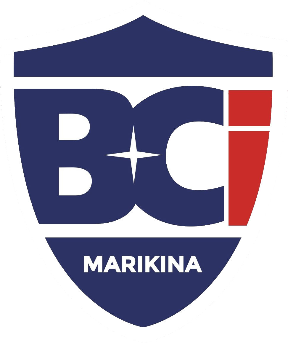 BCI Logo